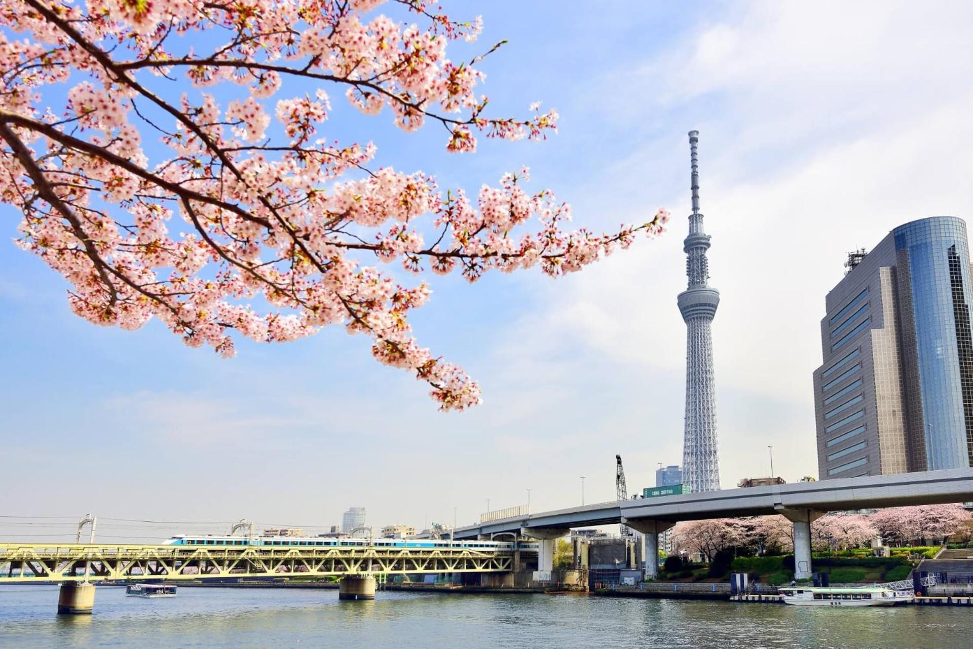 Honeys Guest House Prefektura Tokio Exteriér fotografie
